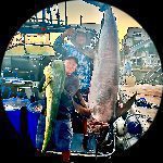 Guide_Photo-CE4723