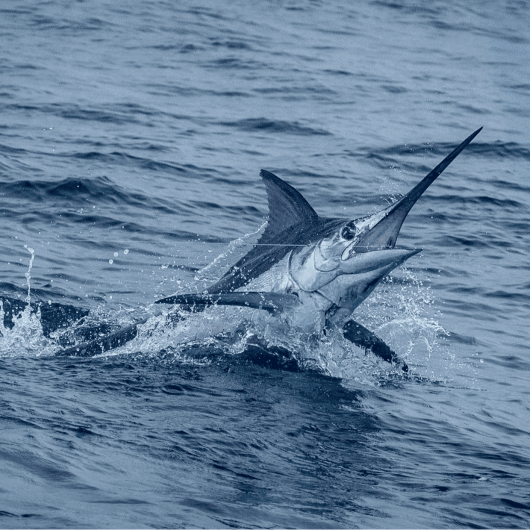 Thumbnail_Trip_Photo-CE2742