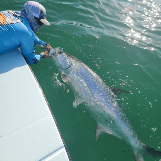 Thumbnail_Trip_Photo-CE5337