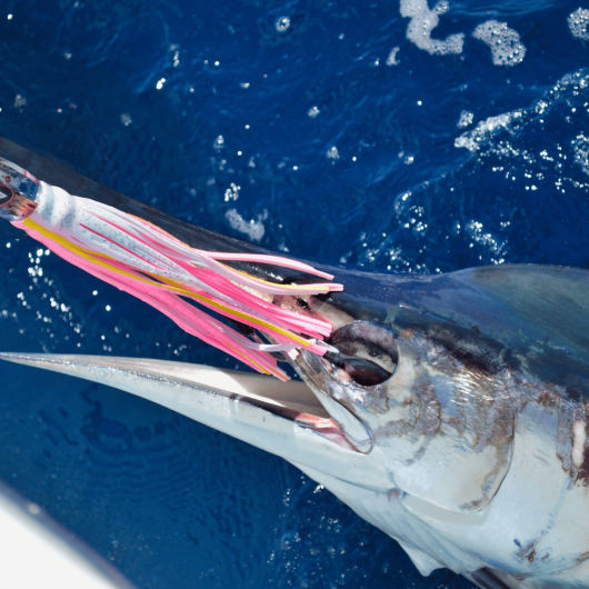Thumbnail_Trip_Photo-CE5513
